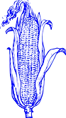images_edited.png