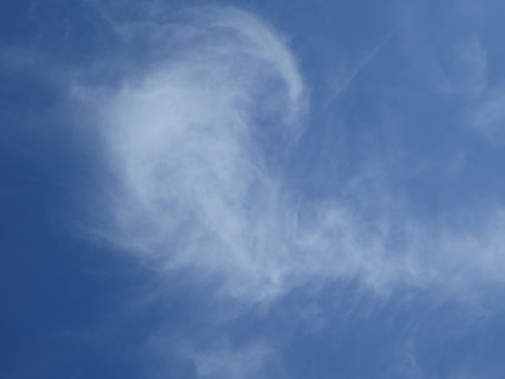 Que se passe t-il dans notre cerveau quand on est sous hypnose?