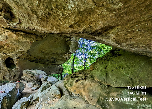 Screen Shot 2023-08-10 at 9.43.41 PM.png