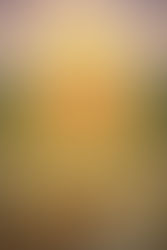 Un mapa para vivir sin conflicto interior