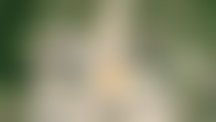 Coshocton, OH | Standard Power