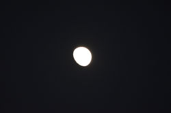 DSC_0327_risultato