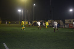 DSC_0710_risultato