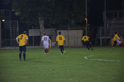 DSC_0532_risultato