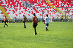 DSC_0312_risultato