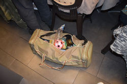 DSC_0980_risultato