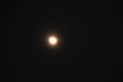 DSC_0414_risultato
