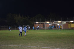 DSC_0183_risultato