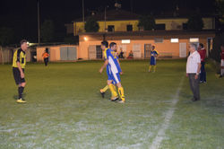 DSC_0349_risultato