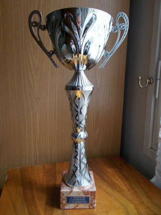 MEDAGLIERE - ALBO D'ORO - DOCUMENTI