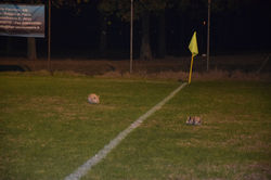 DSC_0624_risultato