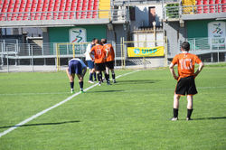 DSC_0382_risultato