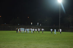 DSC_0954_risultato