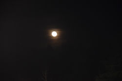 DSC_0358_risultato