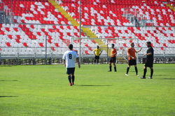 DSC_0313_risultato