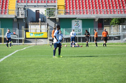 DSC_0402_risultato