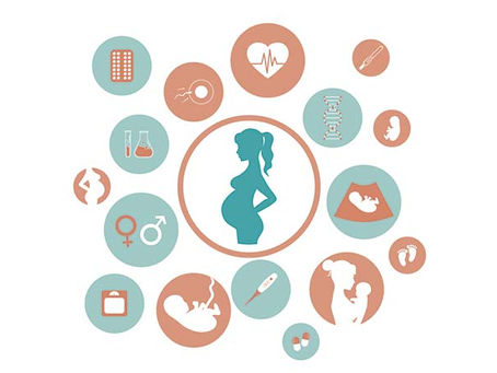 Práctica 4. Lo que rodea a los nacimientos