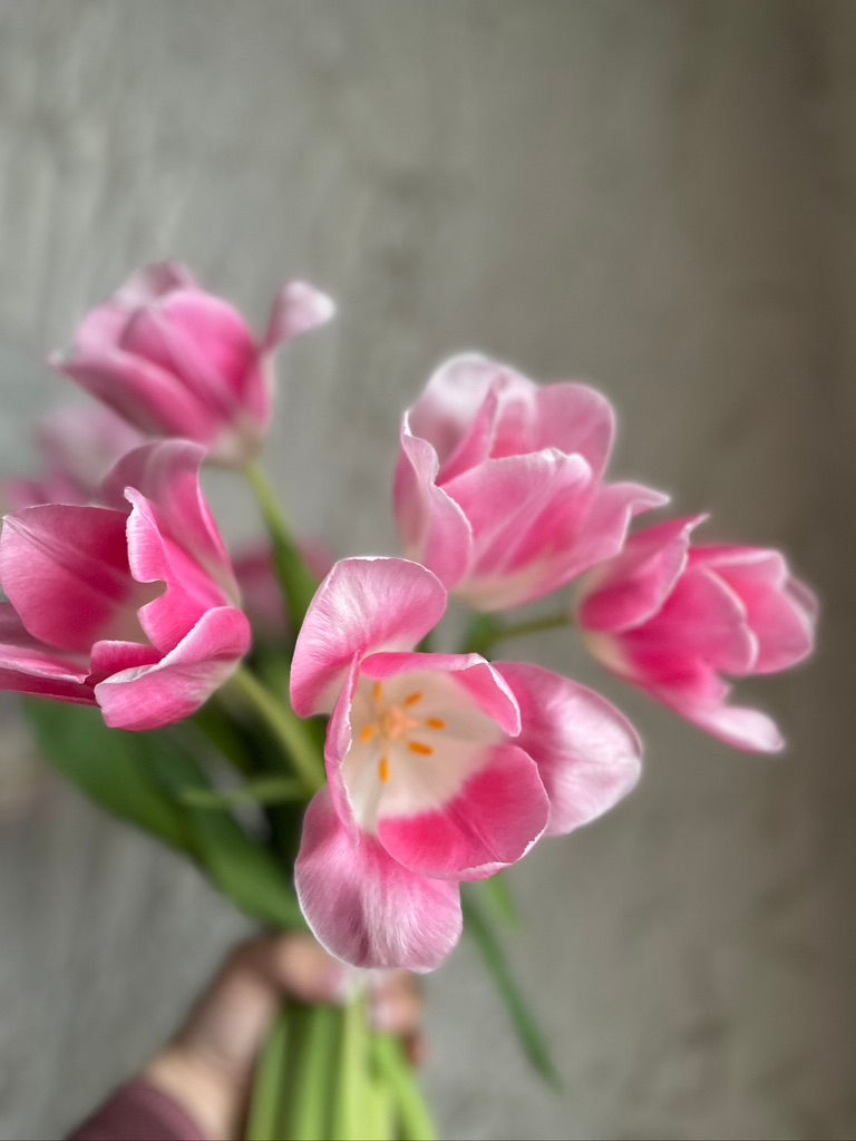 Thumbnail: GLASS VASE OF TULIPS