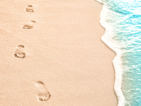 Wednesday 29/1/25 Meditation for Circle Members