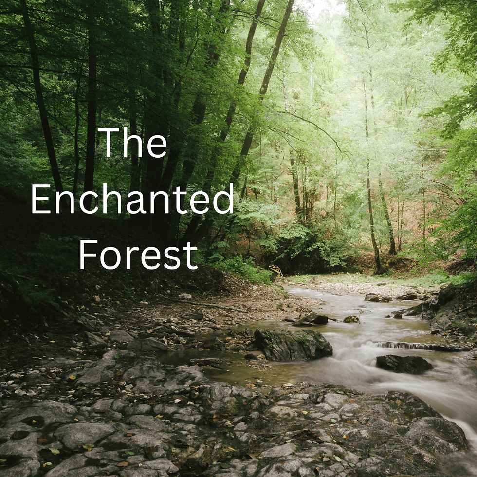 Step away from the everyday and enter an enchanted forest valley where mountains glow in the fading light, a creek gently flows, and fireflies and luminous mushrooms awaken as night falls.