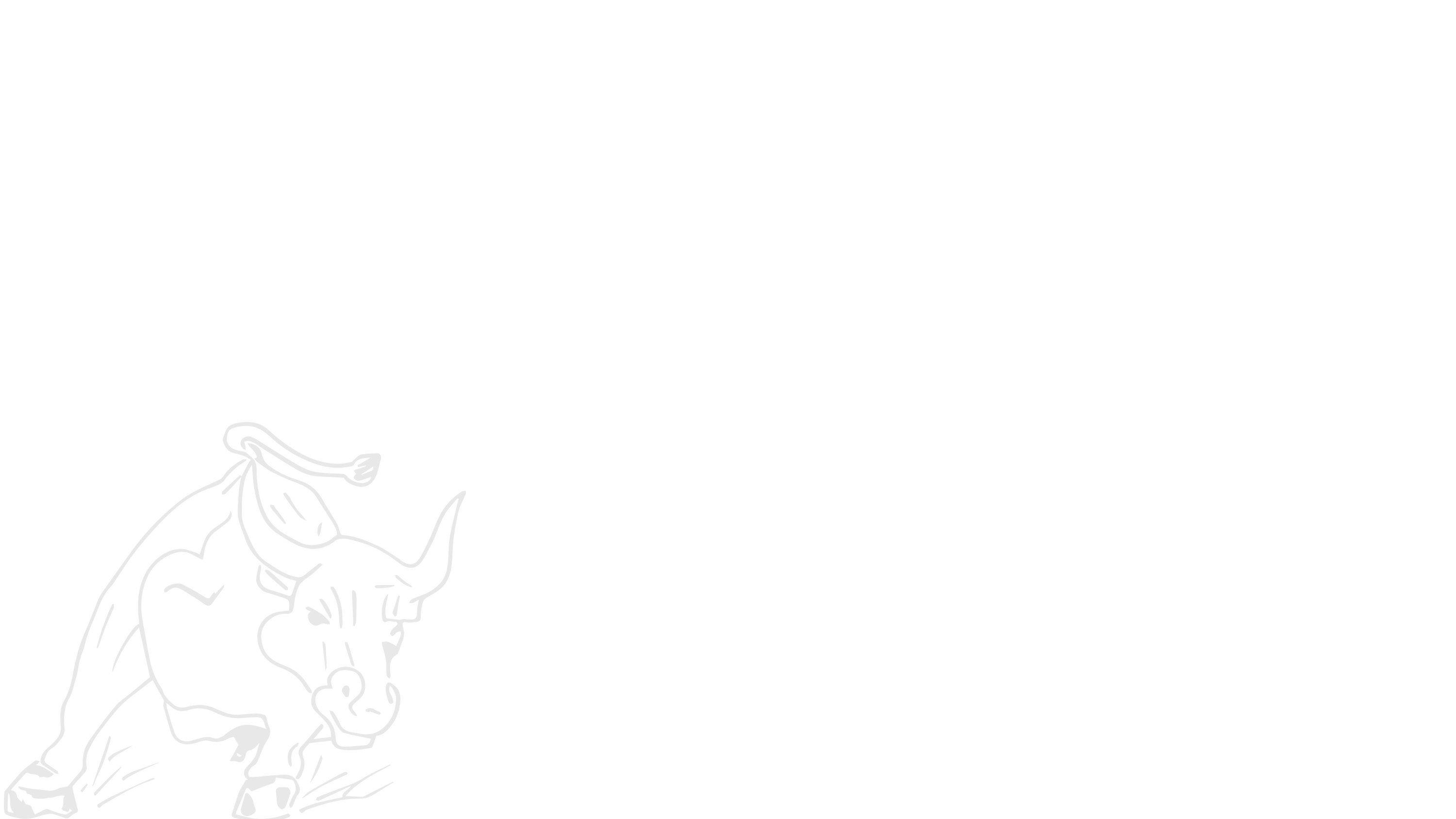 byk_back5.jpg