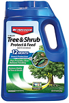 tree shrub.png