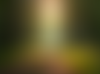 Grief: A Journey of Healing and Hope