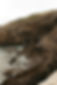 greyhope_bay_image.jpg
