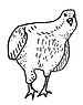 20150814_152232.jpg