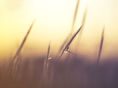 Bienvenue sur mon blog