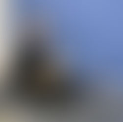 Ein lächelnder Mitarbeiter von Schule & Beruf Berlin e.V. sitzt im Schneidersitz auf dem Boden und streicht eine Backsteinwand in einem kräftigen Dunkelblau. Er trägt eine Brille und dunkle Kleidung. In der rechten Hand hält er einen Pinsel, in der linken eine Farbpalette mit blauer Farbe. Der Boden ist zum Schutz mit einer dunklen Folie ausgelegt. Die Aktion ist Teil der Umgestaltung des sogenannten „Planetenraums“, bei der die weißen Wände durch eine neue Farbgebung ersetzt werden.