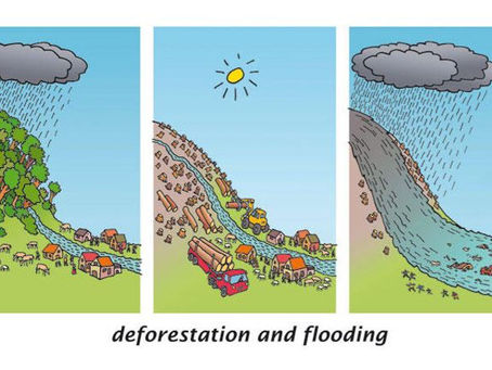 Des sols en danger