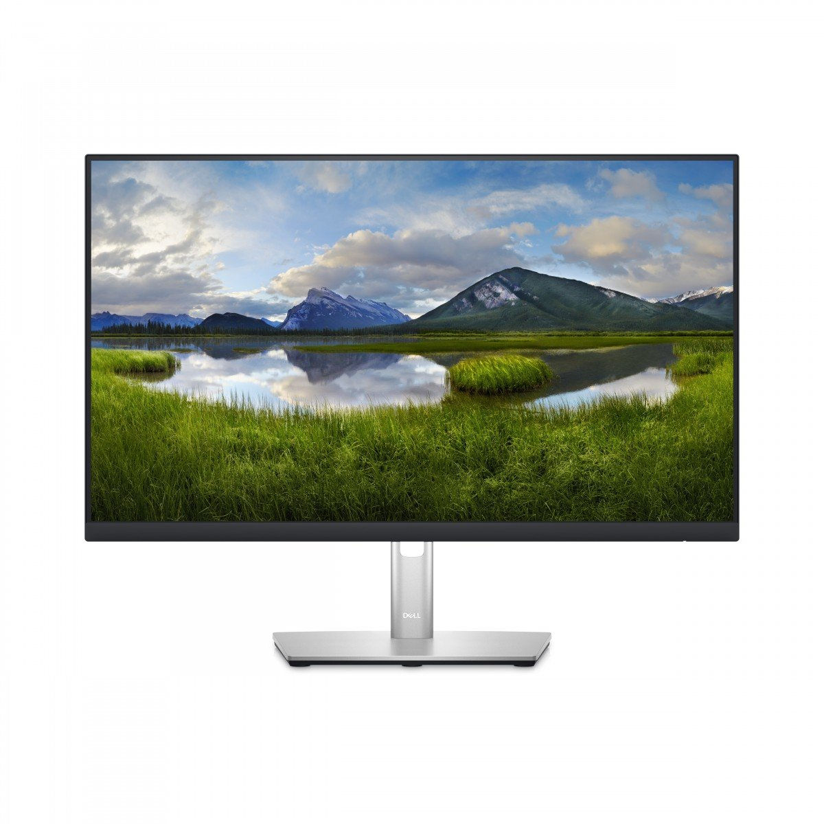 Dell P2423DE LED-Display USB-Hub 23.8 cm (DELL-P2423DE)