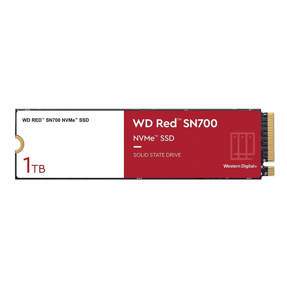 Sandisk Red SN700 M.2 1000 GB PCI Express 3.0 NVMe