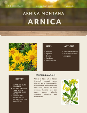 Arnica