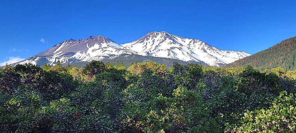 MT SHASTA GATEWAY OLD RD.jpg