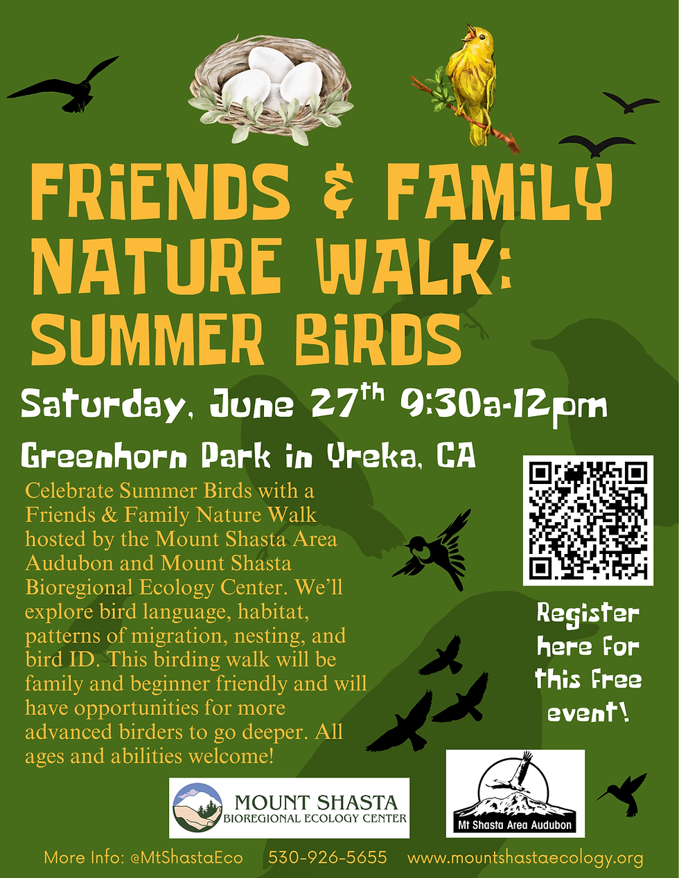 🪶Friends & Family Nature Walk: Birds of Summer