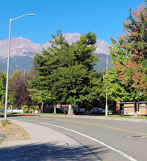 MT SHASTA SCHOOLS.jpg