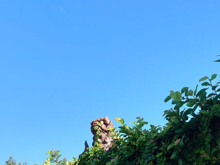 青い空