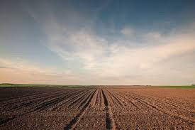 The Treasure in the Field