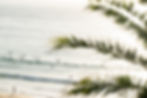 mfsprout_20241212_468