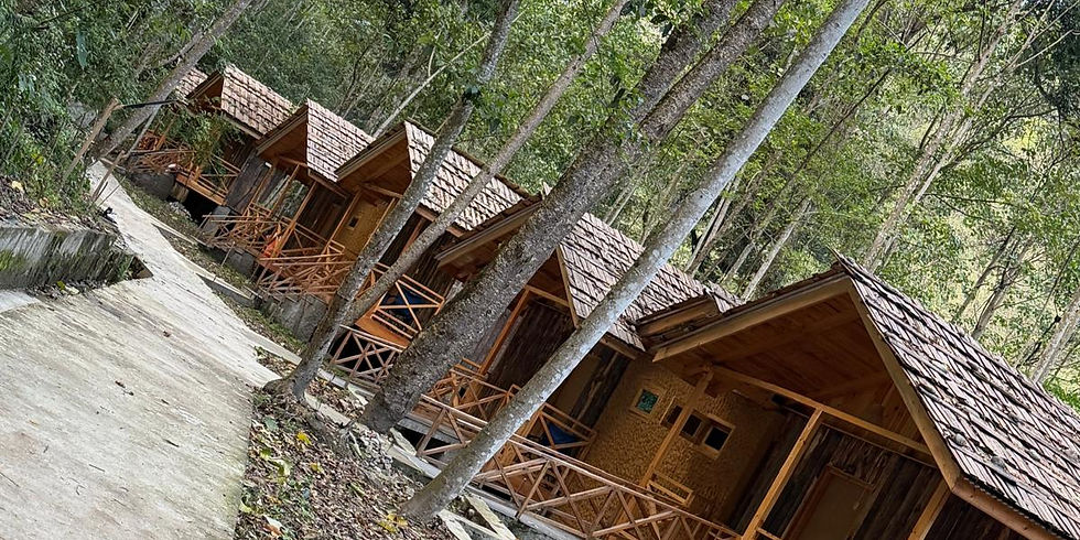 Gemütlichen Holzhütten im Wald bei Punakha, perfekt in eine harmonische Naturumgebung eingebettet - die ideale Auszeit für Naturliebhaber und Erholungssuchende.