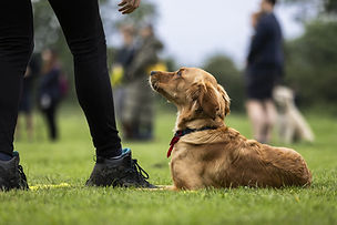 website background 2.jpeg