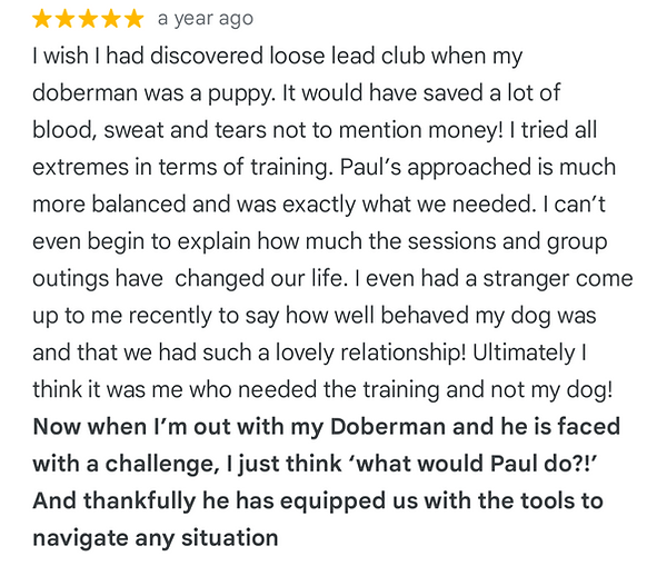 DOG TRAINER FIVE STAR REVIEW