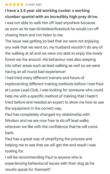 DOG TRAINER FIVE STAR REVIEW