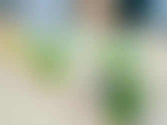 Spring Break Camp: April 6th-10th