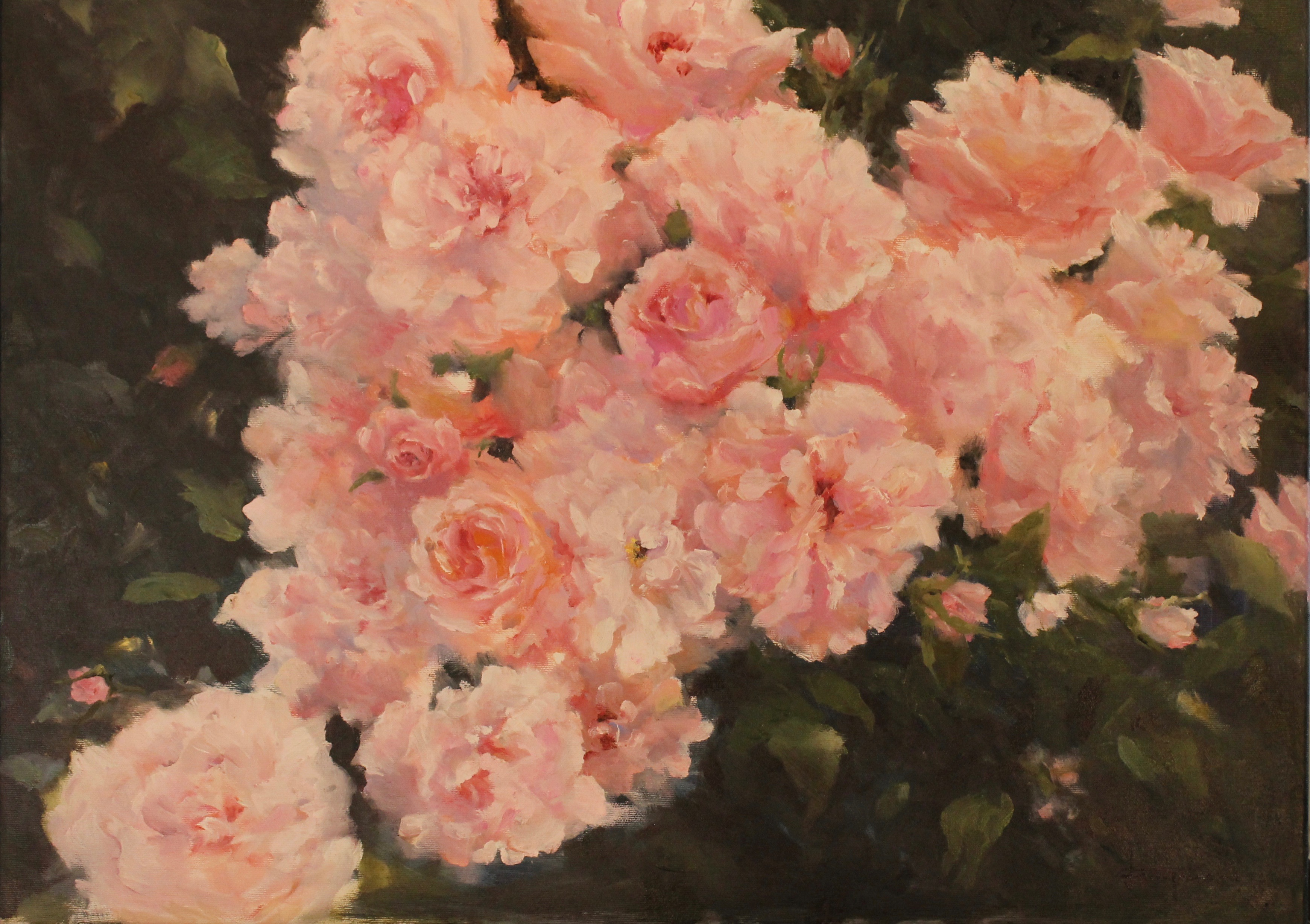 Roses Forever