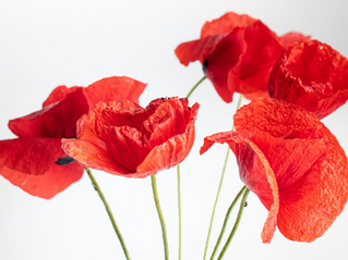 Séance de RITMO® (EMDR)