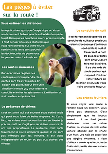 Capture d’écran 2026-07-07 à 13.45.30.png