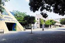 הקרנה ודיון בתיכון ראשונים הרצליה / מבצע חתונה